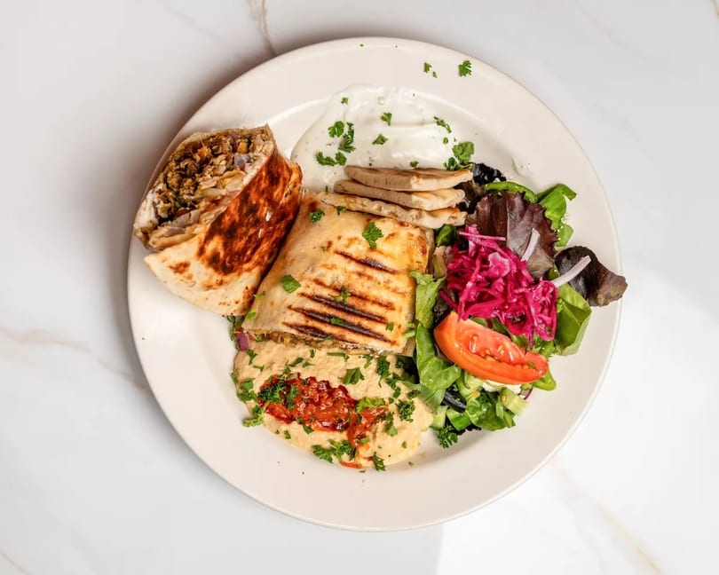 Grilled chicken shawarma, hummus, pita bread, and a fresh salad with red cabbage and tomato.